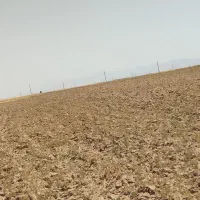 فروش کاه گندم