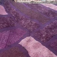 گلیم فرش کاملان نونو بدونه هیچ گونه زدگی وپارگی