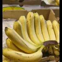 پک میوه مجالس پذیرایی بایرامی|خدمات پذیرایی، مراسم|تهران, افسریه شمالی|دیوار