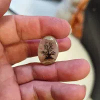 سنگ شجرتک درخت کلکسیونی