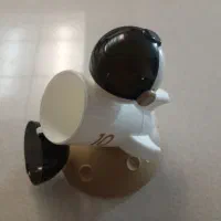 جامدادی فضانورد