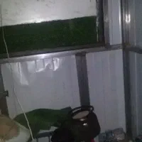 کانکس