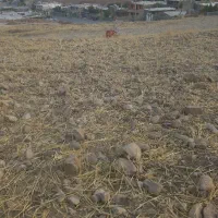 فروش فوری یک قطعه زمین  در دیشموک