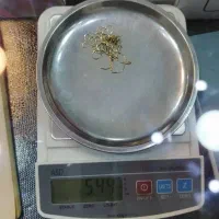 گوشواره طلا در حد نو