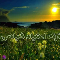 ترک ب۲ متادون