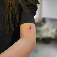 اجرای تتو بدن و آموزش بصورت خصوصی