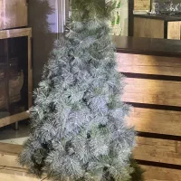 فروش درخت کاج کریسمس