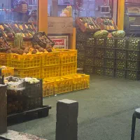 استخدام نیرو کار