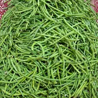 لوبیاقصری یالوبیاچشم بلبلی|خوردنی و آشامیدنی|قصرشیرین, |دیوار