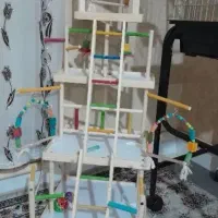 پرنده قفس