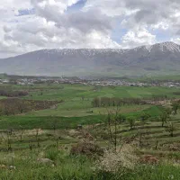 زمین مسکونی