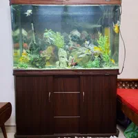 آکواریوم شرکتی بزرگ