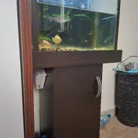 آکواریوم و ۳عدد گوشتخوار