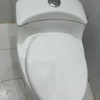 روشویی و توالت فرنگی کارکرده