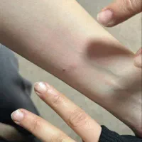 سمپاشی ساس تخصصی کارشناسی دقیق با نیروی متخصص|خدمات نظافت|تهران, صادقیه|دیوار