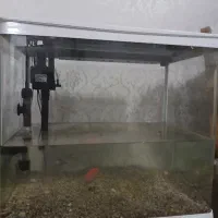 آکواریوم شرکتی۶۰×۶۰