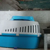 باکس حمل گربه سالم و تمیز