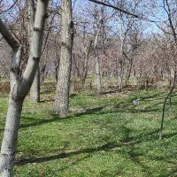 فروش زمین کشاورژی زراعی به وسعت ۴۷۰۰متر