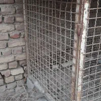 کفتر کبوتر|لوازم جانبی حیوانات|تهران, تهرانسر مرکزی|دیوار