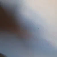 وایت برد|لوازم التحریر|تبریز, |دیوار