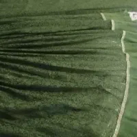 لباس محلی  سبز|لباس|دهدشت, |دیوار