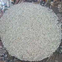 برنج خوشپخت