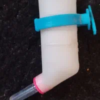 تاب ونردبان بازی پرندگان وهمستروآبخوری مخصوص همستر|لوازم جانبی حیوانات|سبزوار, کاشفی شمالی (دادگستری)|دیوار