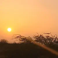 زمین تجاری مسکونی