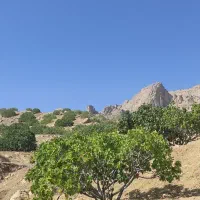 فروش و معاوضه