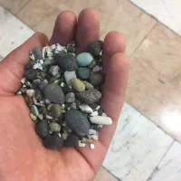 آکواریوم سالم و قیمت مناسب|ماهی|تهران, جوادیه تهرانپارس|دیوار