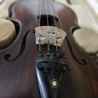 ویولن حرفه‌ای استاد خضری ایرانی خوان|ویولن|تهران, یافت‌آباد|دیوار