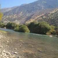 مسافر به ایلام