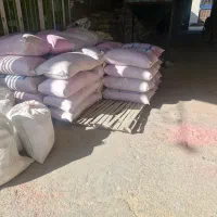 جو ابی شهبد