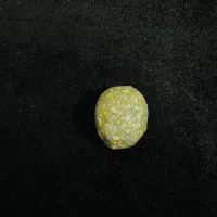 سنگ راف فسیلی|جواهرات|شوشتر, |دیوار