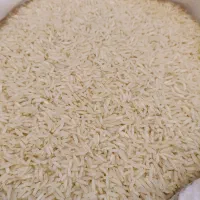 فروش طارم شیرودی اعلا