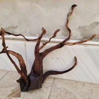 چوب آبنوس آکواریوم