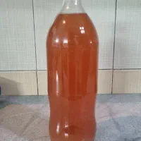 آبغوره طبیعی