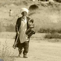 نیروی ساده کار