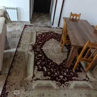 فرش ۹متری|فرش|رشت, فرزانه|دیوار