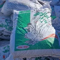 کودمرغی به قیمت عمده|عمده‌فروشی|شاهیوند, |دیوار