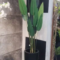 درختچه مصنوعی|گل مصنوعی|تهران, بهاران|دیوار