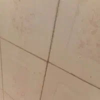 کارگر روز مزد هستم بجنورد