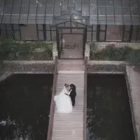 عکاسی و فیلم برداری عقد و عروسی