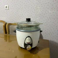 پلوپز و هواپز پاناسونیک