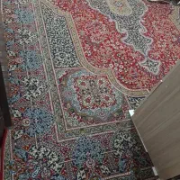 فرش ۱۲متری و ۶ متری تمیز|فرش|کازرون, |دیوار