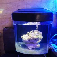 آبشور. آب شور