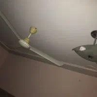 دو عدد پشتی 500 دو عدد پنکه دونه ای 1/500
