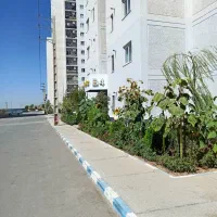 برج فاز ۱۱ نگینی درقلب پردیس|فروش آپارتمان|پردیس, فاز ۱۱|دیوار