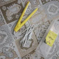 اتو مو مسافرتی