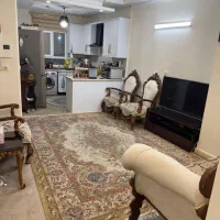 ۵۵متر/۲خواب/آسانسوردار/خوش نقشه/دامپزشکی